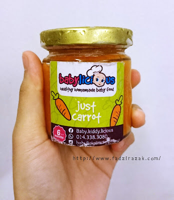 Homemade Baby Food Babylicious