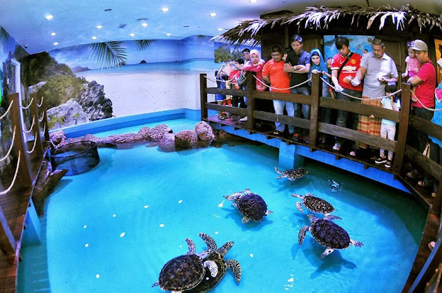 The Shore Oceanarium