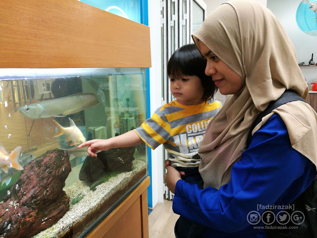 IDiscovery Citta Mall