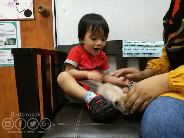 Check-up Percuma MyCat2Vet