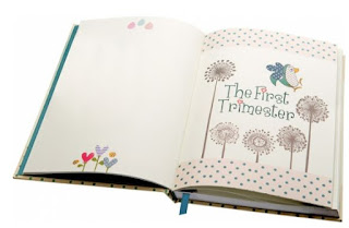 Bump To Birthday - Pregnancy & First Year Journal