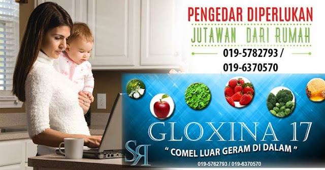 Ejen Gloxina17"