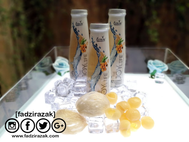 Minuman Sarang Burung Halal - The Joy Of Life