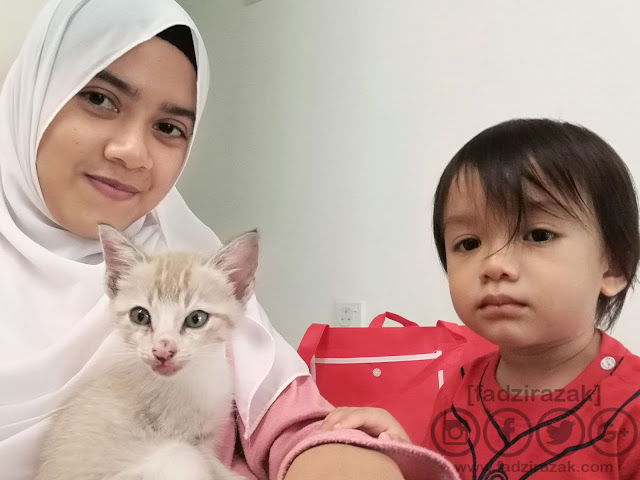 Check-up Percuma MyCat2Vet